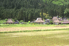 美山の茅葺きの里