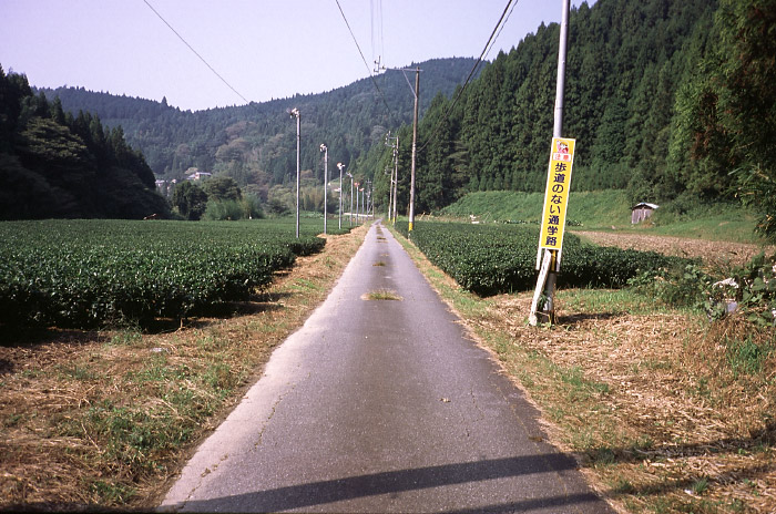 栃立付近の直線路