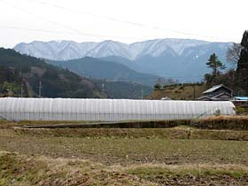 今なお雪を残す三峰山