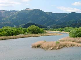 持井橋付近の那賀川