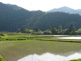 早くも田植えが始まっていた。赤松にて。