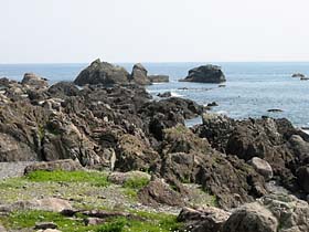 室戸岬の岩礁