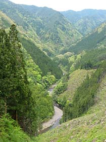 久木付近より御殿川を見下ろす