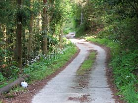 有田川沿いの町道