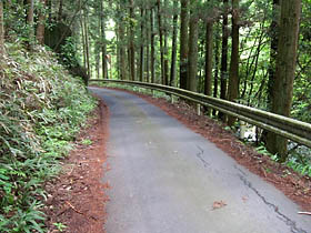 深川沿いの快適な下り