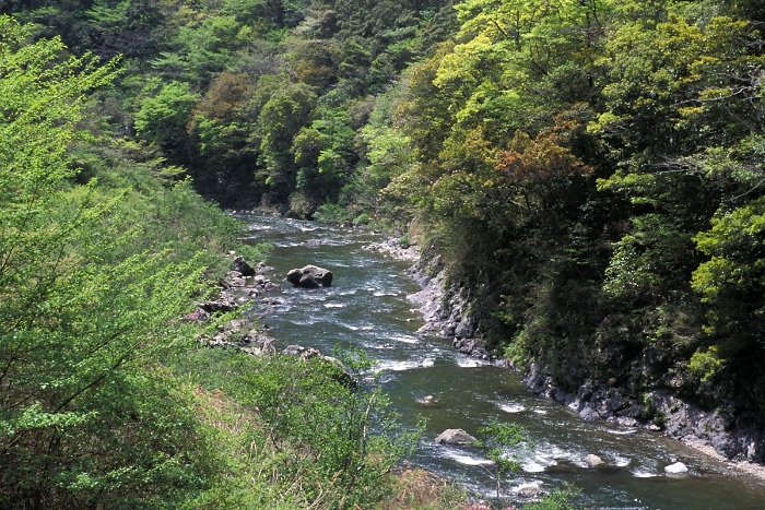 檮原川