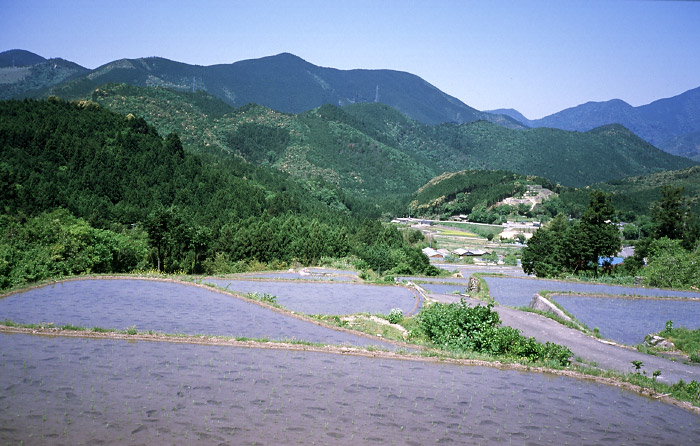 平谷付近の棚田