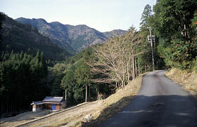 鴻坂峠の下り