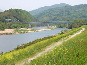 菜の花咲く木津川畔と恭仁大橋