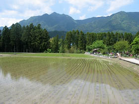 水田と局ヶ岳・有間野付近にて