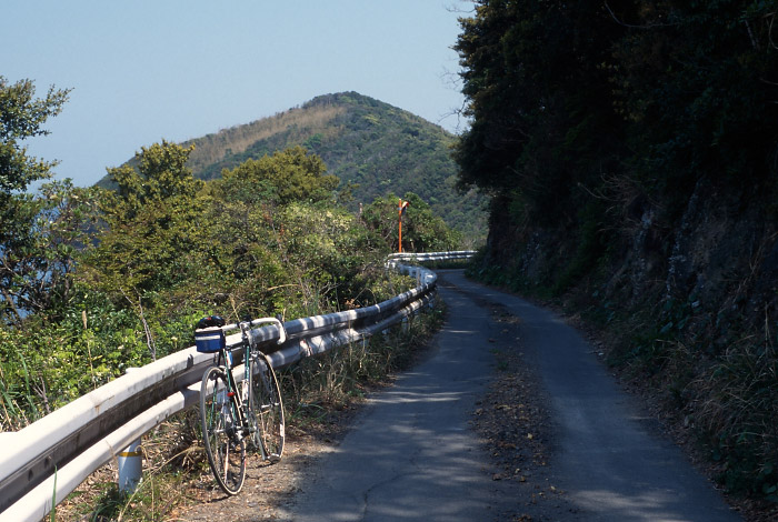 蒲生田付近の道