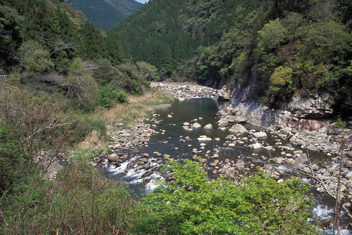 安田川