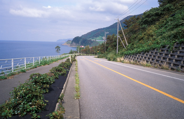 国道249号惣領町付近