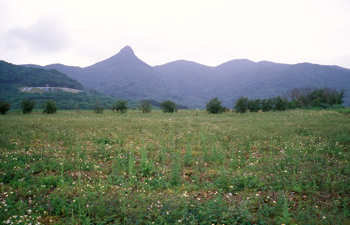 野底岳