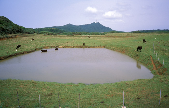 宇良部岳を望む池