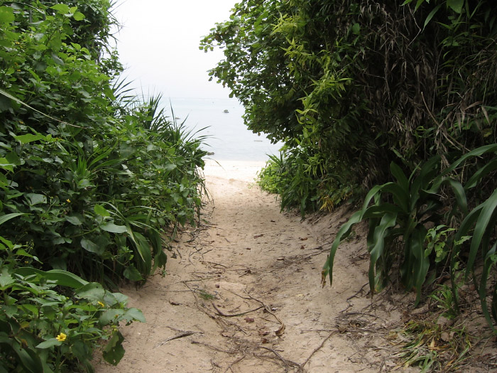 海へ抜ける道