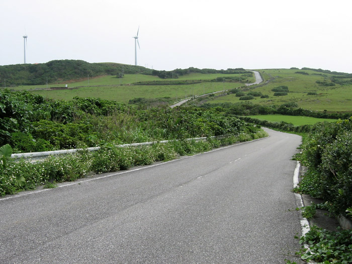 東崎への道